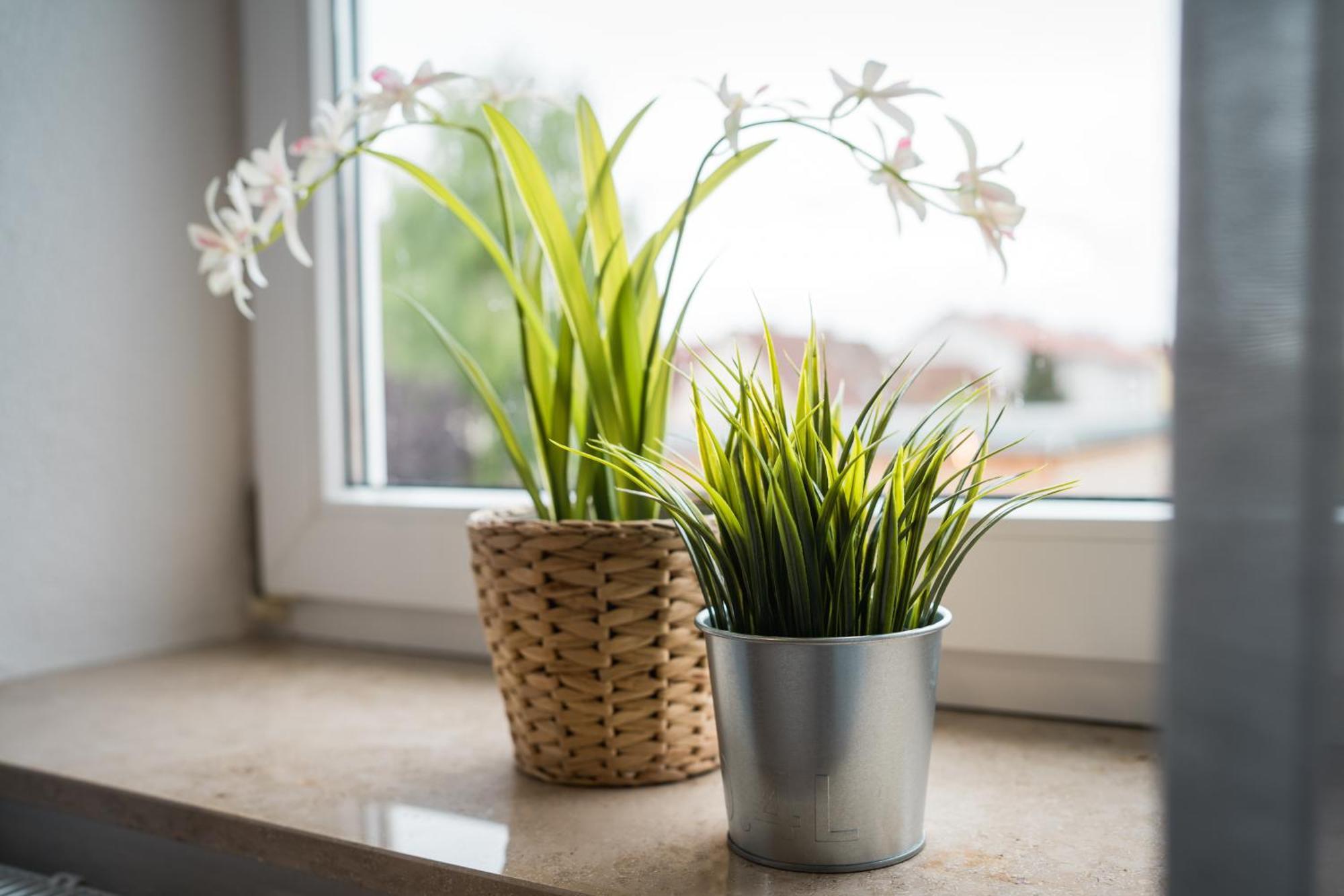 Apartment Doppelzimmer 1 - Neu Renoviert
